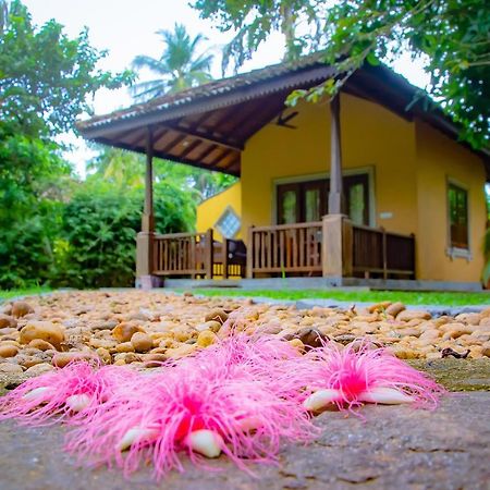 Birds Paradise Cabanas Unawatuna Exterior photo